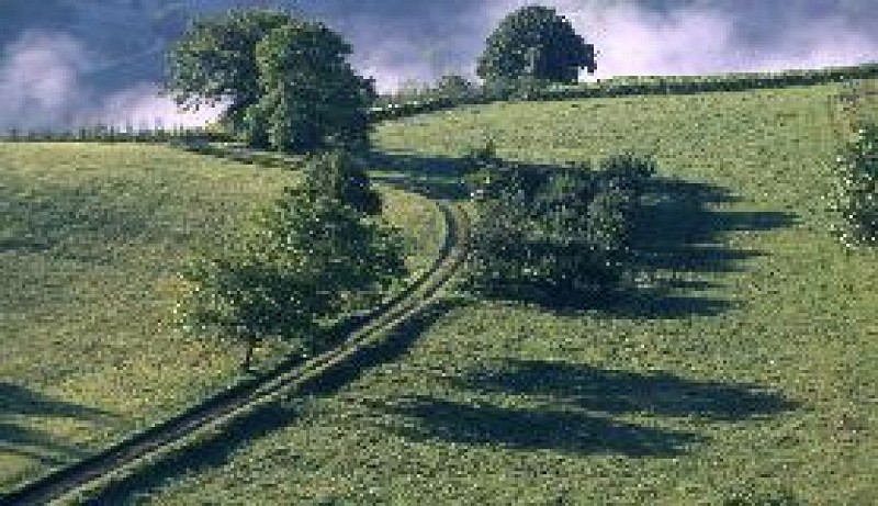 Bocage bressan du Sougey, ENS de l'Ain