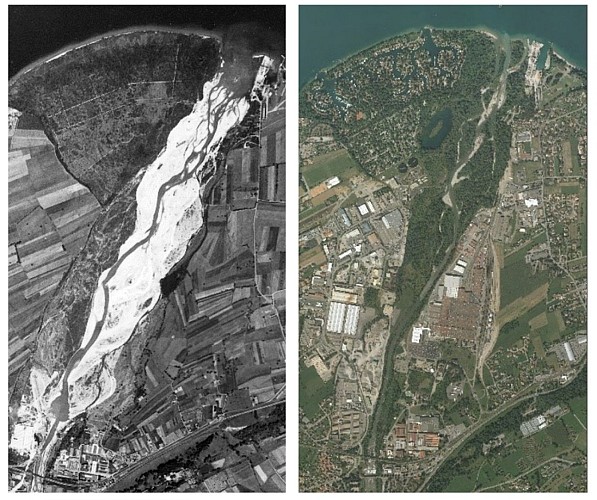 Alluvial forest, a wildlife corridor