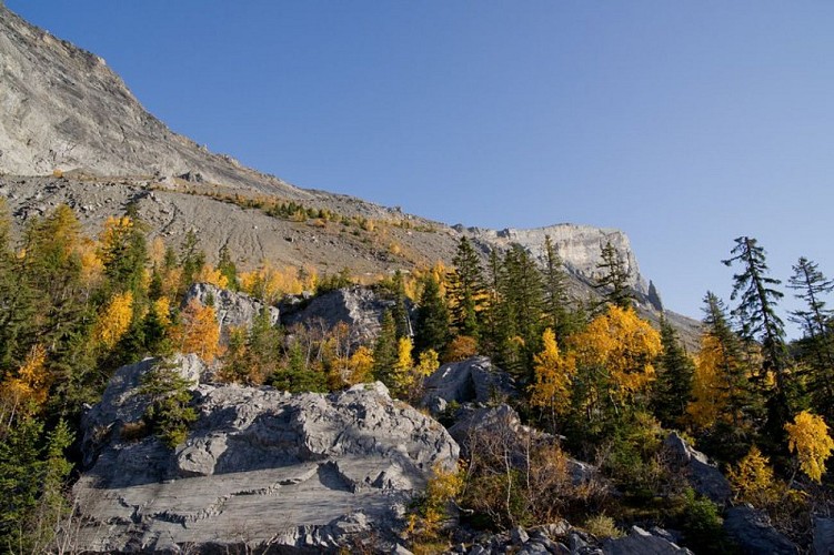 Le Dérochoir à l'automne