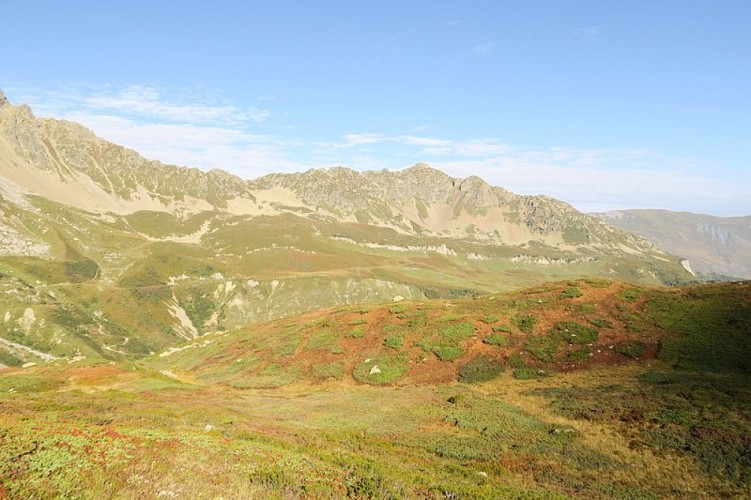 Zone de travaux en faveur du Tétras-lyre