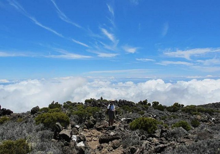 Randonnée guidée sur les Remparts de Mafate autour du Piton Maïdo, à La Réunion