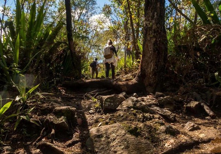 Randonnée guidée vers La Chapelle dans le cirque de Cilaos, à La Réunion