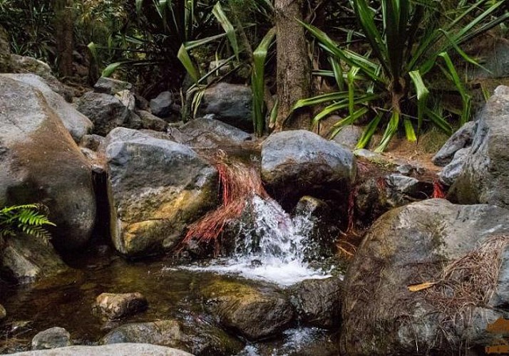 Randonnée guidée vers La Chapelle dans le cirque de Cilaos, à La Réunion
