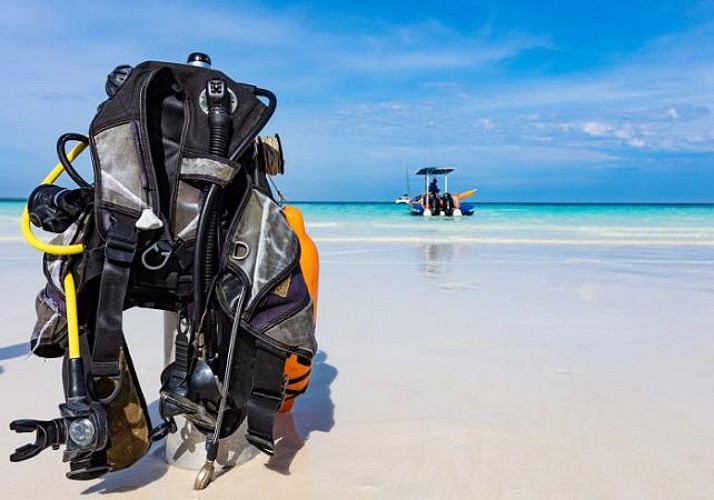 Plongée sous-marine à Zanzibar (tous niveaux)