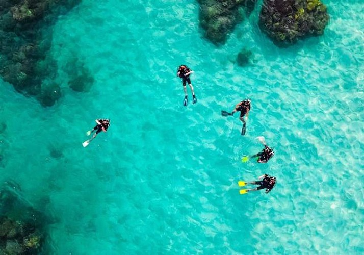 Plongée sous-marine à Zanzibar (tous niveaux)