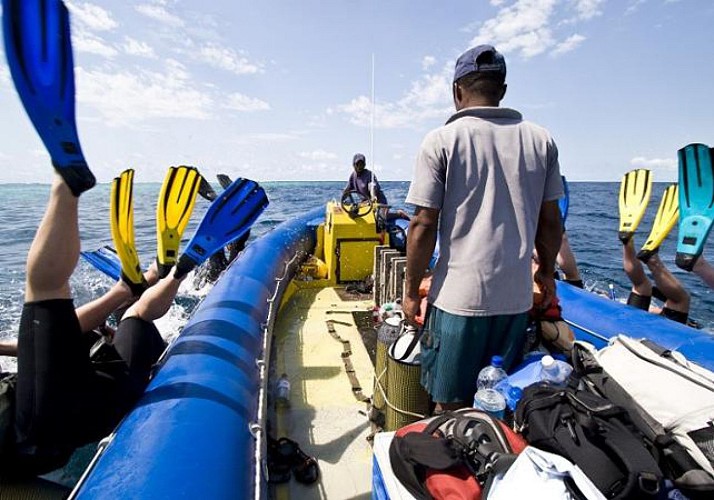 Plongée sous-marine à Zanzibar (tous niveaux)