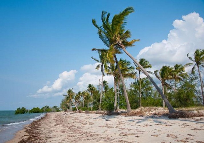 Safari d’une journée au parc de Saadani (Tanzanie) – Transferts hôtels inclus et traversée en bateau depuis Zanzibar