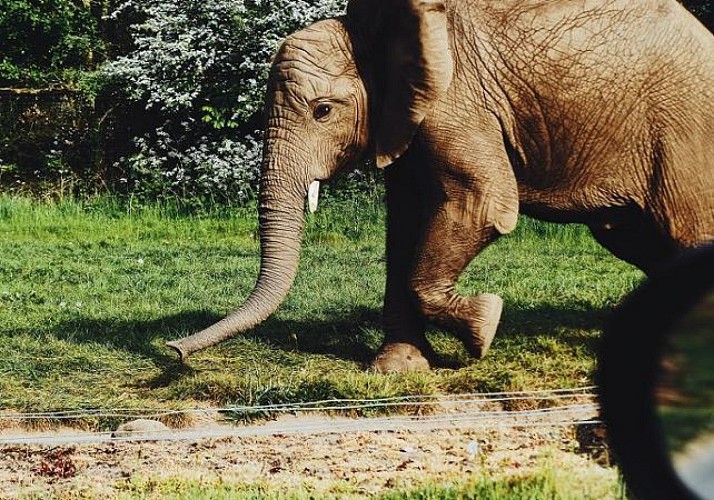 Safari 2 jours/ 1nuit dans la réserve de Selous – Transferts inclus depuis Zanzibar