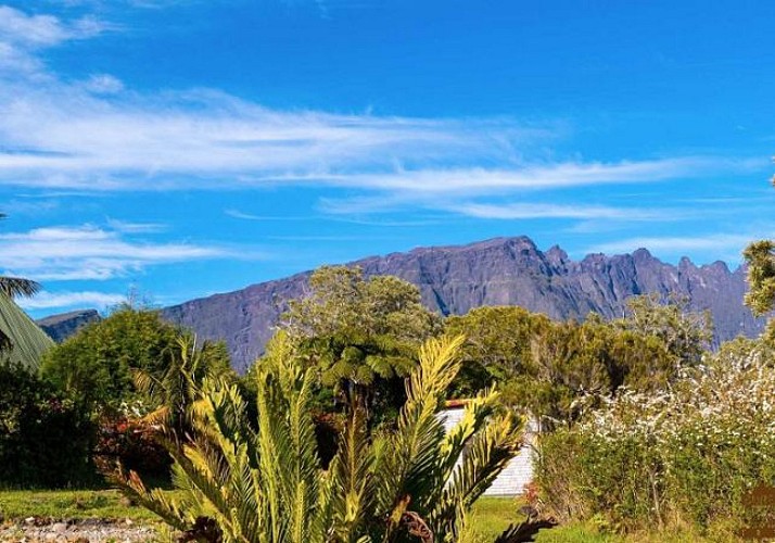 Randonnée guidée dans la forêt de Bélouve & au Trou de Fer - La Réunion