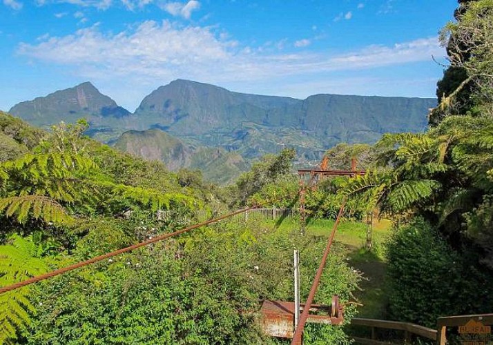 Randonnée guidée dans la forêt de Bélouve & au Trou de Fer - La Réunion
