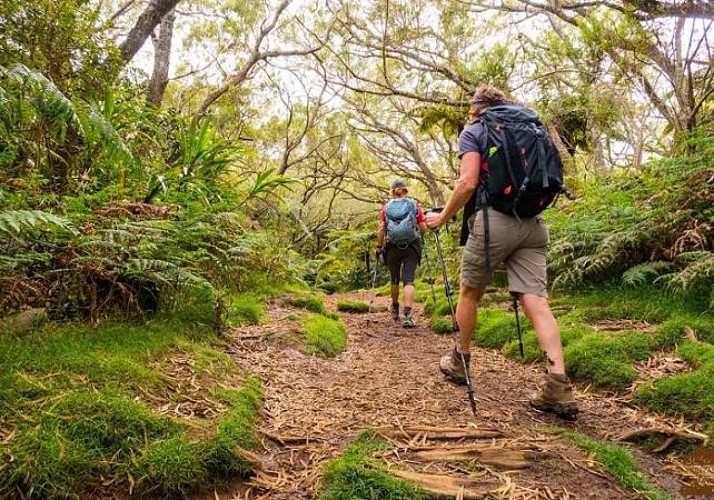 Randonnée guidée dans la forêt de Bélouve & au Trou de Fer - La Réunion