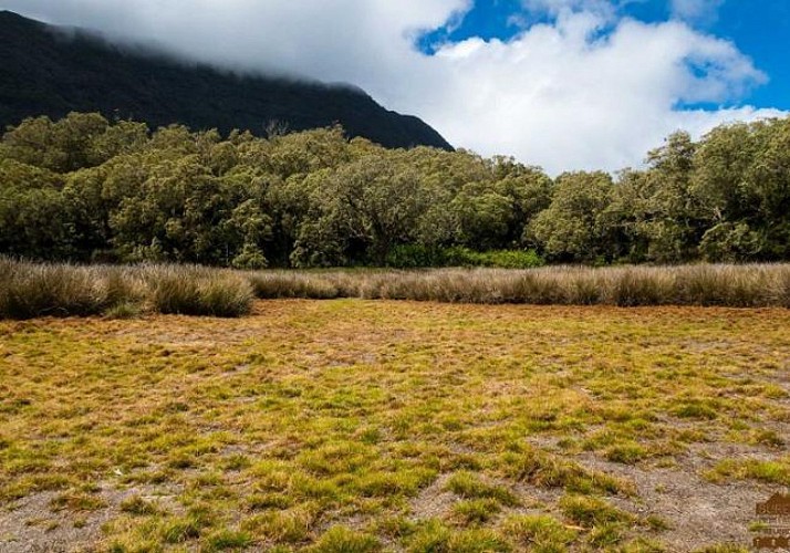 Randonnée guidée dans la forêt de Bélouve & au Trou de Fer - La Réunion