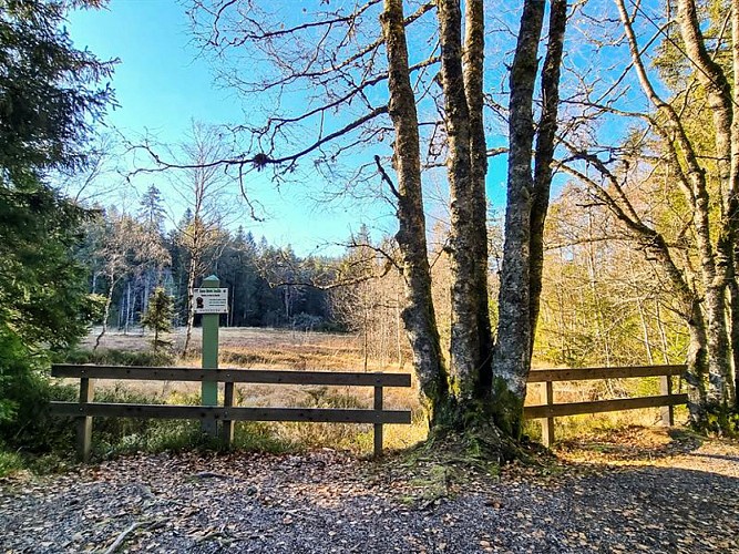 tourbière de merelle