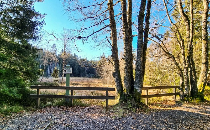 tourbière de merelle