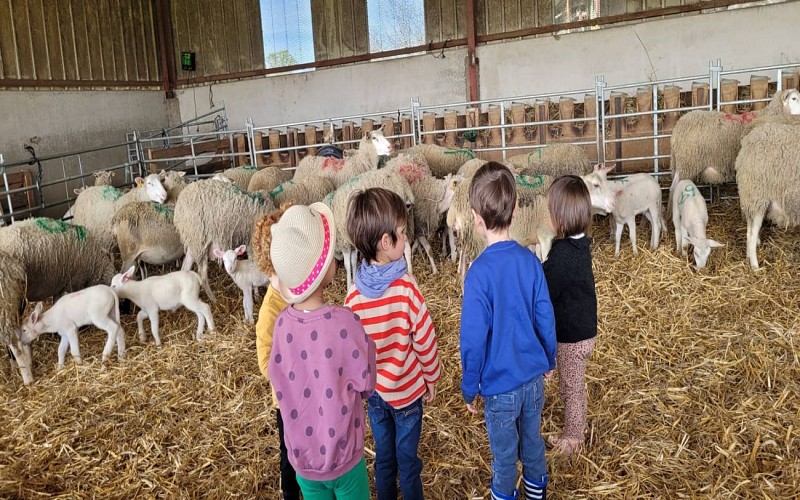 La clé des champs (3)