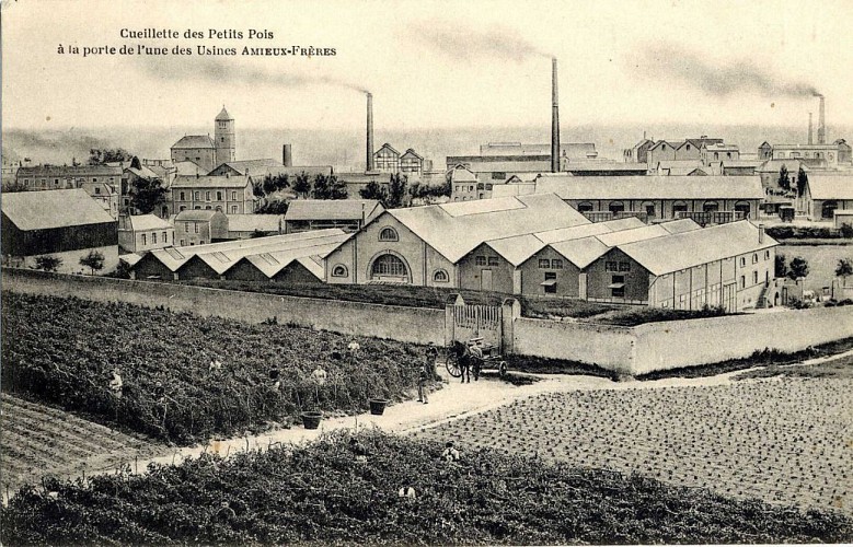 Usine AMIEUX