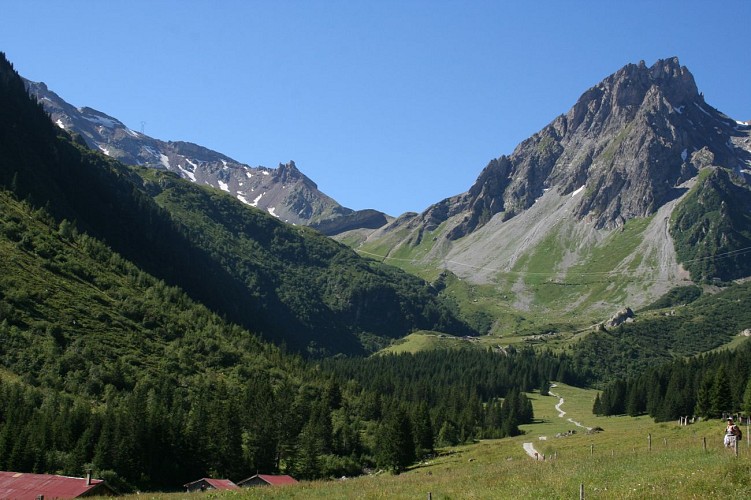 Col du Bonhomme
