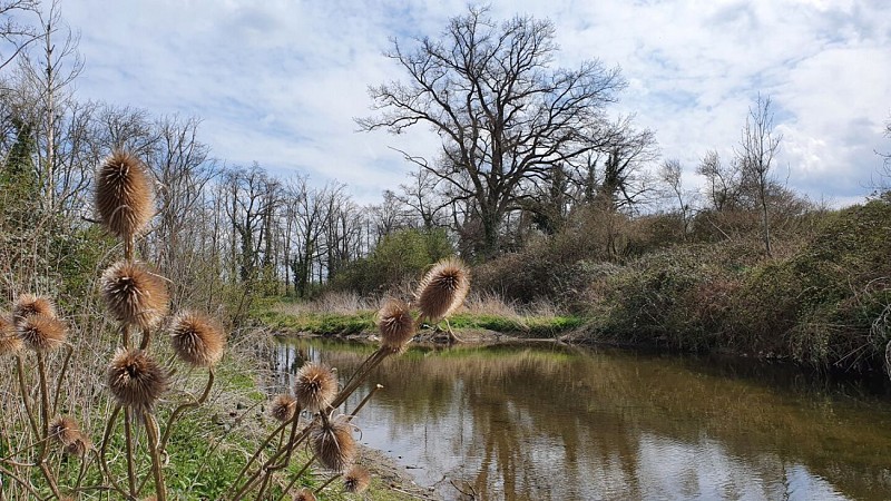 Aire de pique-nique - Bords de Coise