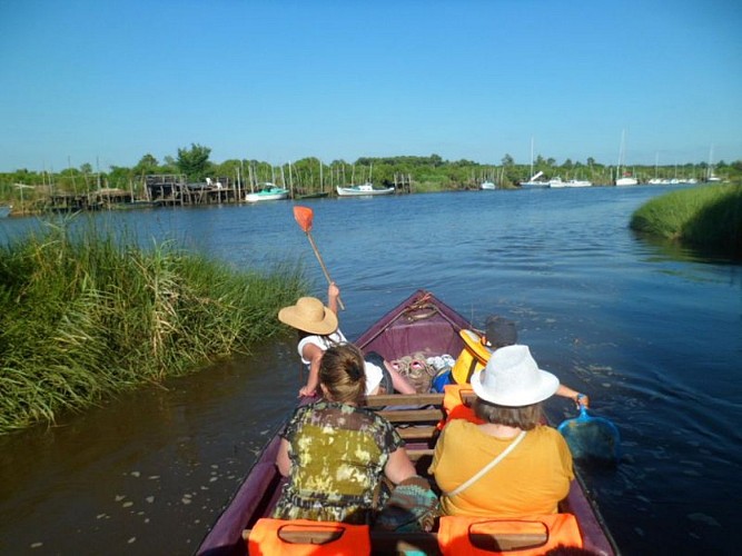 Escapade en galupe sur le delta de la Leyre