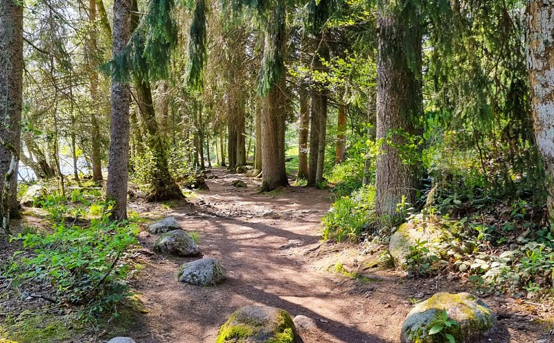 Le delta du ruisseau st jacques