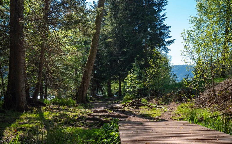 Le delta du ruisseau st jacques