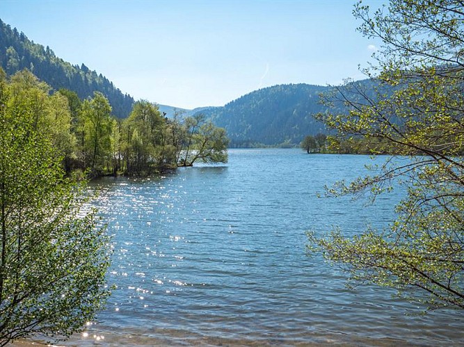 Le delta du ruisseau st jacques