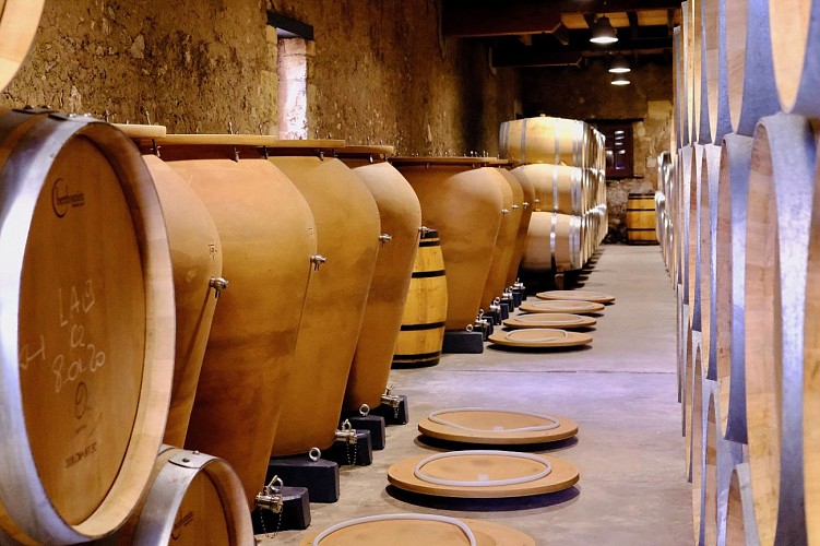 Château Anthonic - Chai à Barriques - Aurélie Gac