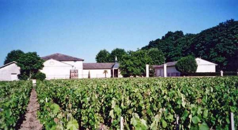 St-Laurent-Médoc - Château Devise d'Ardilley