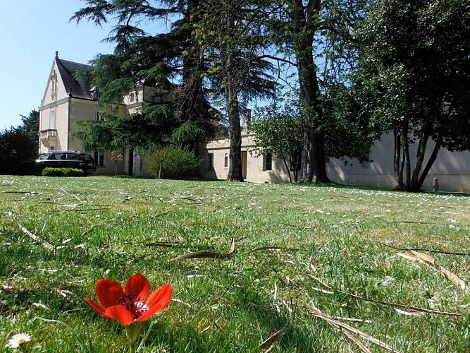 château viticole la haye saint estèphe 4