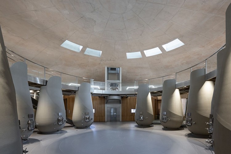 Haut-Bailly ARA 8439_Credit_Iwan_Baan(1)