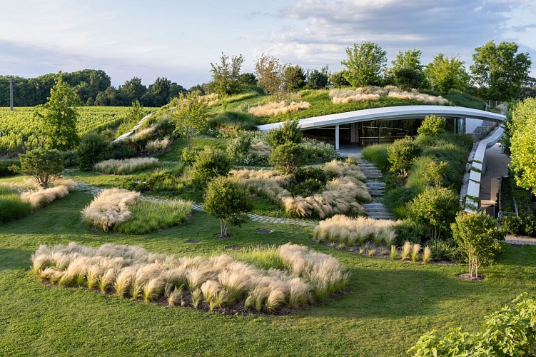 Haut-Bailly ARA 6887_Credit_Iwan_Baan(1)