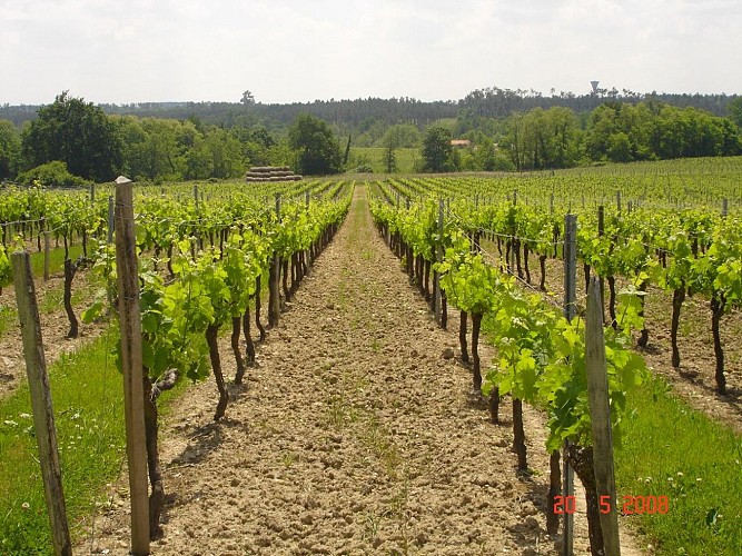 Château Siffle Merle