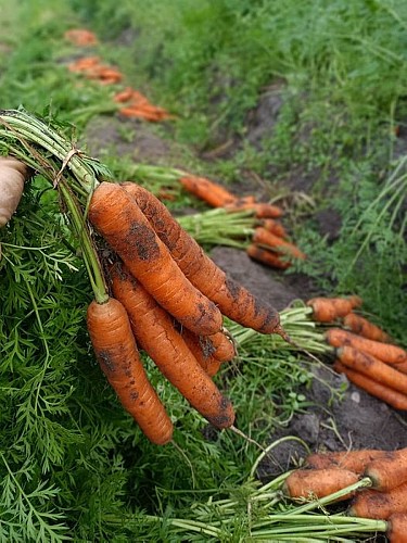 316415142_5805464336213526_1081537589936870445_n