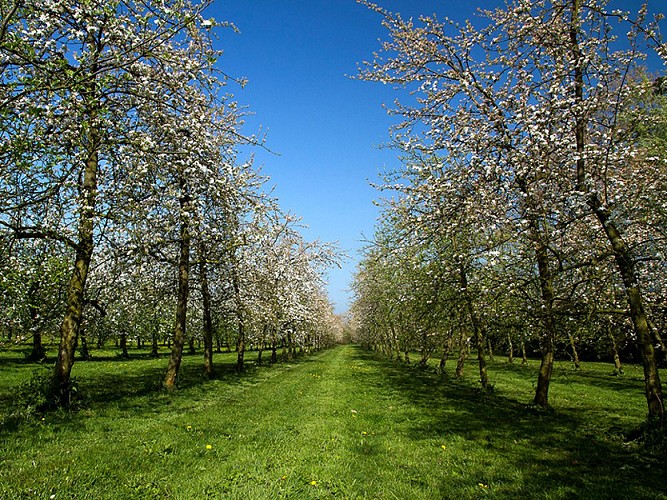 Domaine familial Louis DUPONT
