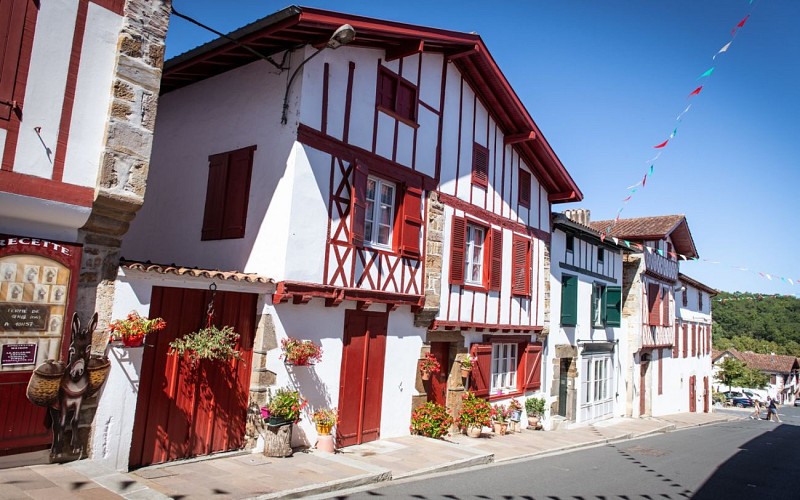 53193456876_8964be1cd3_k