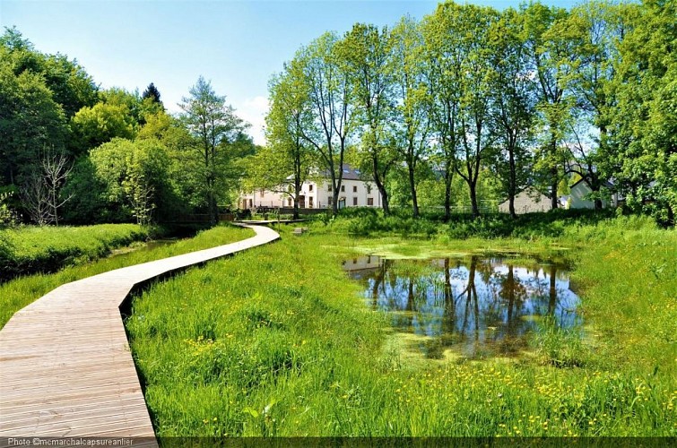 Etang Bergh reflets.JPG