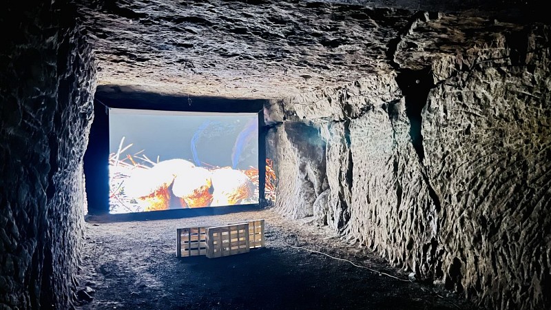 Cave Vivante du Champignon