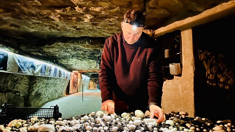Cave Vivante du Champignon