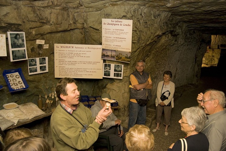 Cave Vivante du Champignon