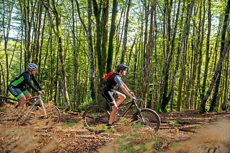 Xaintrie Val'Dordogne mountain bike base