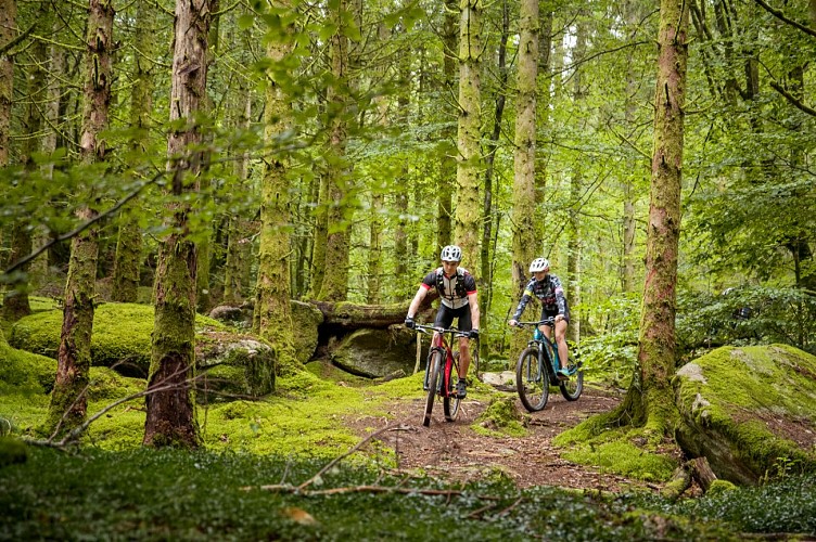 Base VTT Xaintrie Val'Dordogne_1