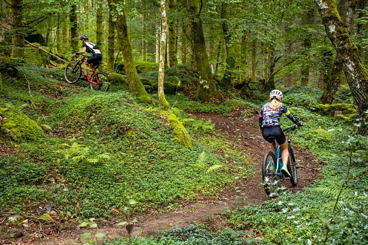 Base VTT Xaintrie Val'Dordogne_2