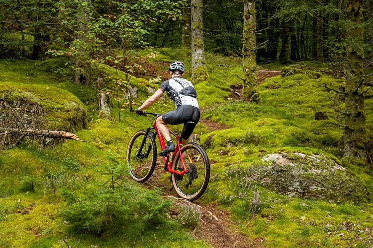 Base VTT Xaintrie Val'Dordogne_3