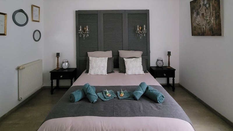 Photos Grand Périgueux - Palmier 2