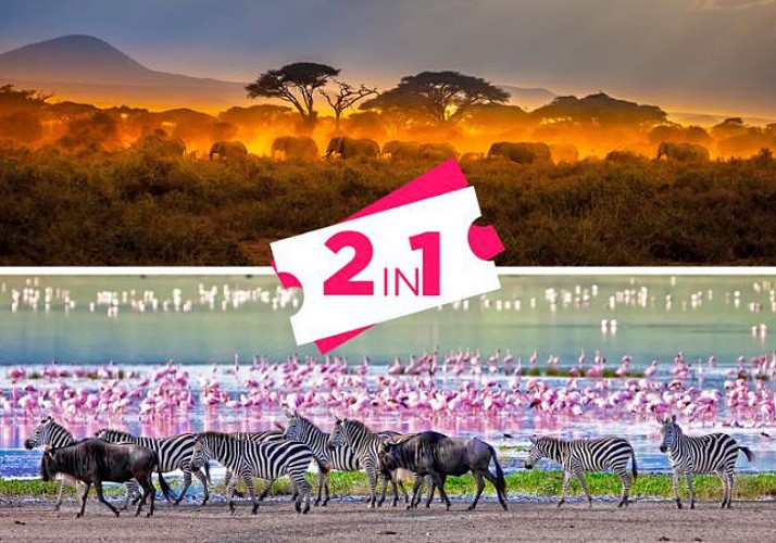 Safari 3 jours/ 2 nuits - Tarangire & Ngorongoro (Tanzanie) - Transferts inclus depuis Zanzibar