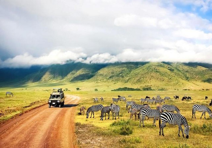 Safari 3 jours/ 2 nuits - Tarangire & Ngorongoro (Tanzanie) - Transferts inclus depuis Zanzibar