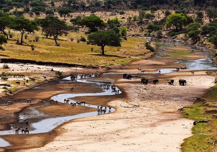 Safari 3 jours/ 2 nuits - Tarangire & Ngorongoro (Tanzanie) - Transferts inclus depuis Zanzibar