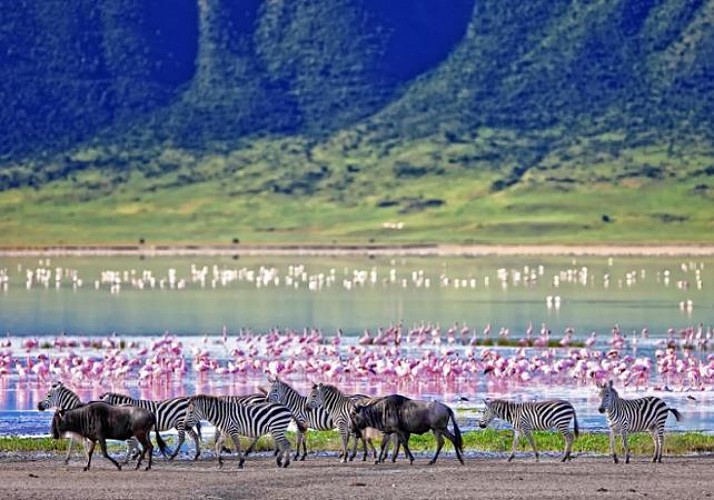 Safari 3 jours/ 2 nuits - Tarangire & Ngorongoro (Tanzanie) - Transferts inclus depuis Zanzibar