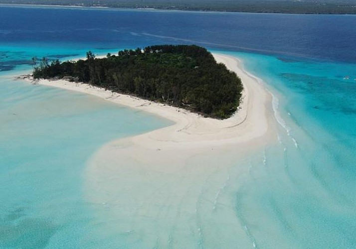Croisière privée d’une journée en bateau traditionnel, observation des dauphins & snorkeling vers l’île de Mnemba (déjeuner inclus) - Au départ de Zanzibar