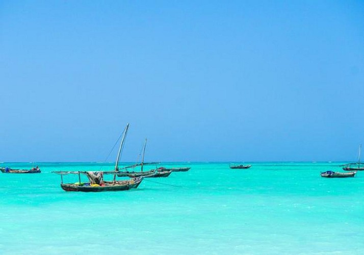Croisière privée d’une journée en bateau traditionnel, observation des dauphins & snorkeling vers l’île de Mnemba (déjeuner inclus) - Au départ de Zanzibar
